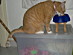 View full size picture