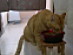 View full size picture