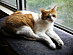 View full size picture