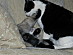 View full size picture