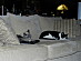 View full size picture