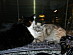 View full size picture