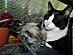 View full size picture