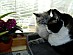 View full size picture