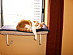View full size picture