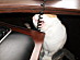View full size picture