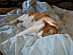 View full size picture
