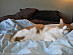 View full size picture