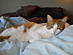 View full size picture