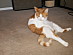 View full size picture