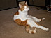 View full size picture
