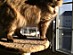View full size picture
