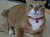 View full size picture