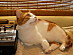 View full size picture