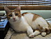 View full size picture