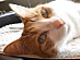 View full size picture