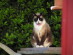 View full size picture