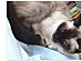 View full size picture