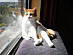 View full size picture