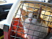View full size picture