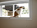 View full size picture