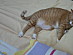 View full size picture