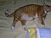 View full size picture