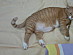 View full size picture