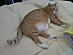 View full size picture