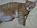 View full size picture