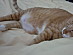 View full size picture