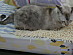 View full size picture
