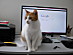 View full size picture