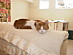 View full size picture