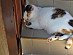 View full size picture