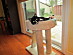 View full size picture