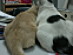 View full size picture