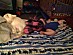View full size picture