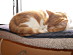 View full size picture