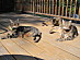 View full size picture