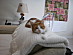 View full size picture