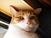 View full size picture