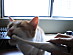 View full size picture