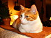 View full size picture