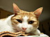 View full size picture