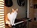 View full size picture