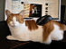 View full size picture