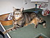 View full size picture