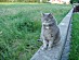 View full size picture