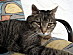 View full size picture